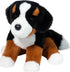 BOWIE BERNESE MOUNTAIN DOG